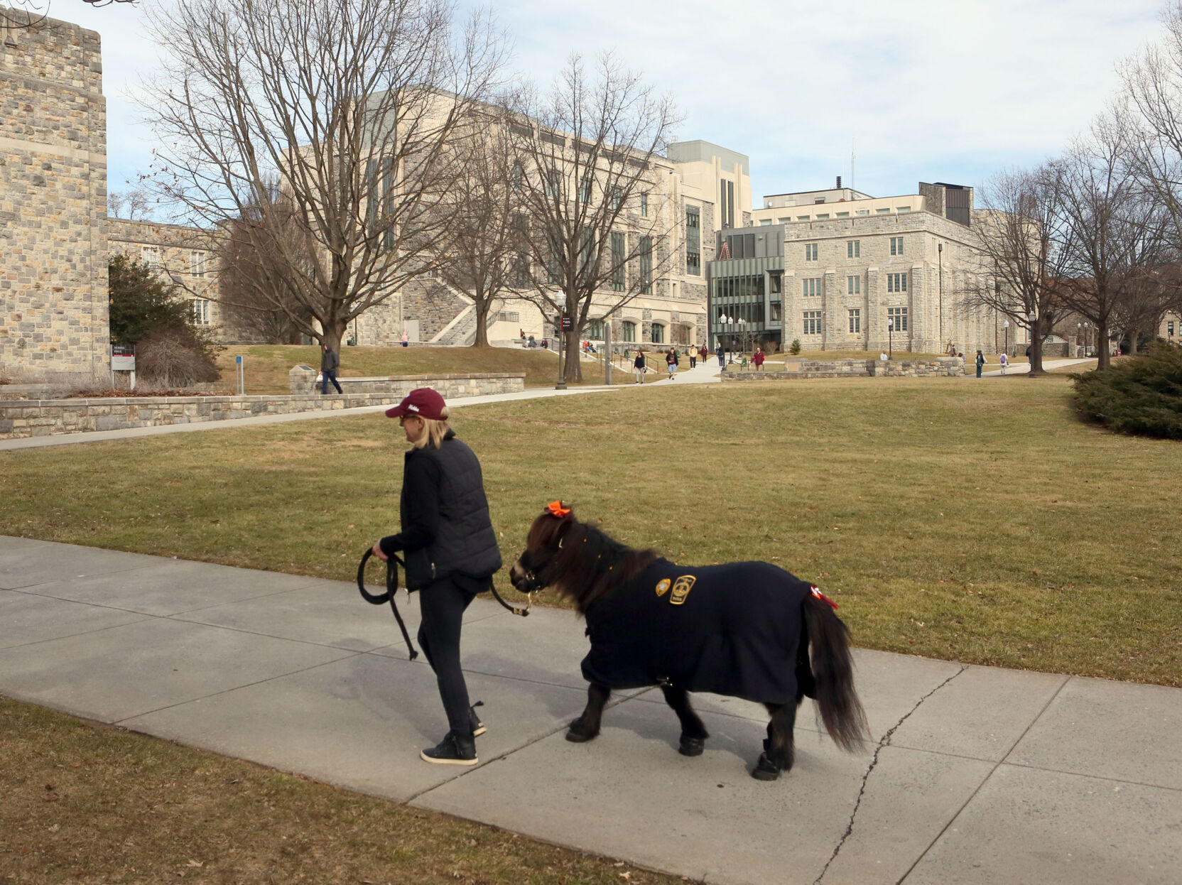 011923-roa-nr-patrolpony-09